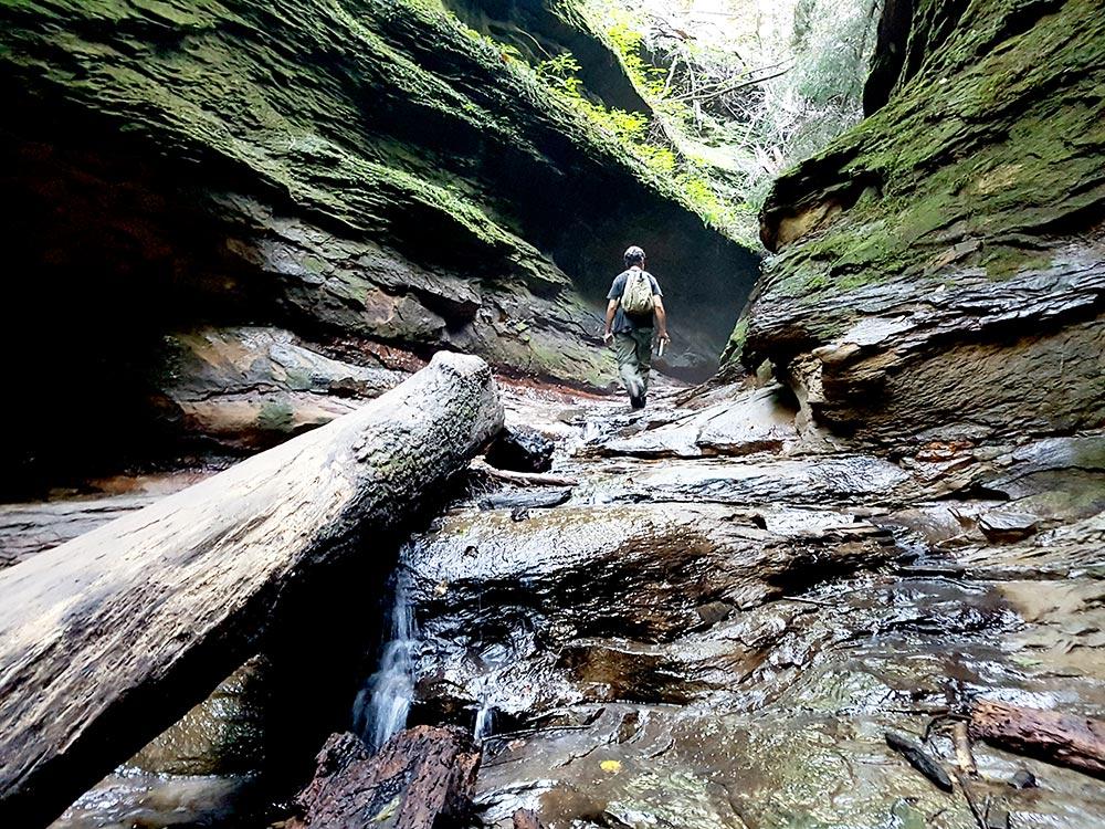 Turkey Run 3, 10, 9, 5 Trails Loop