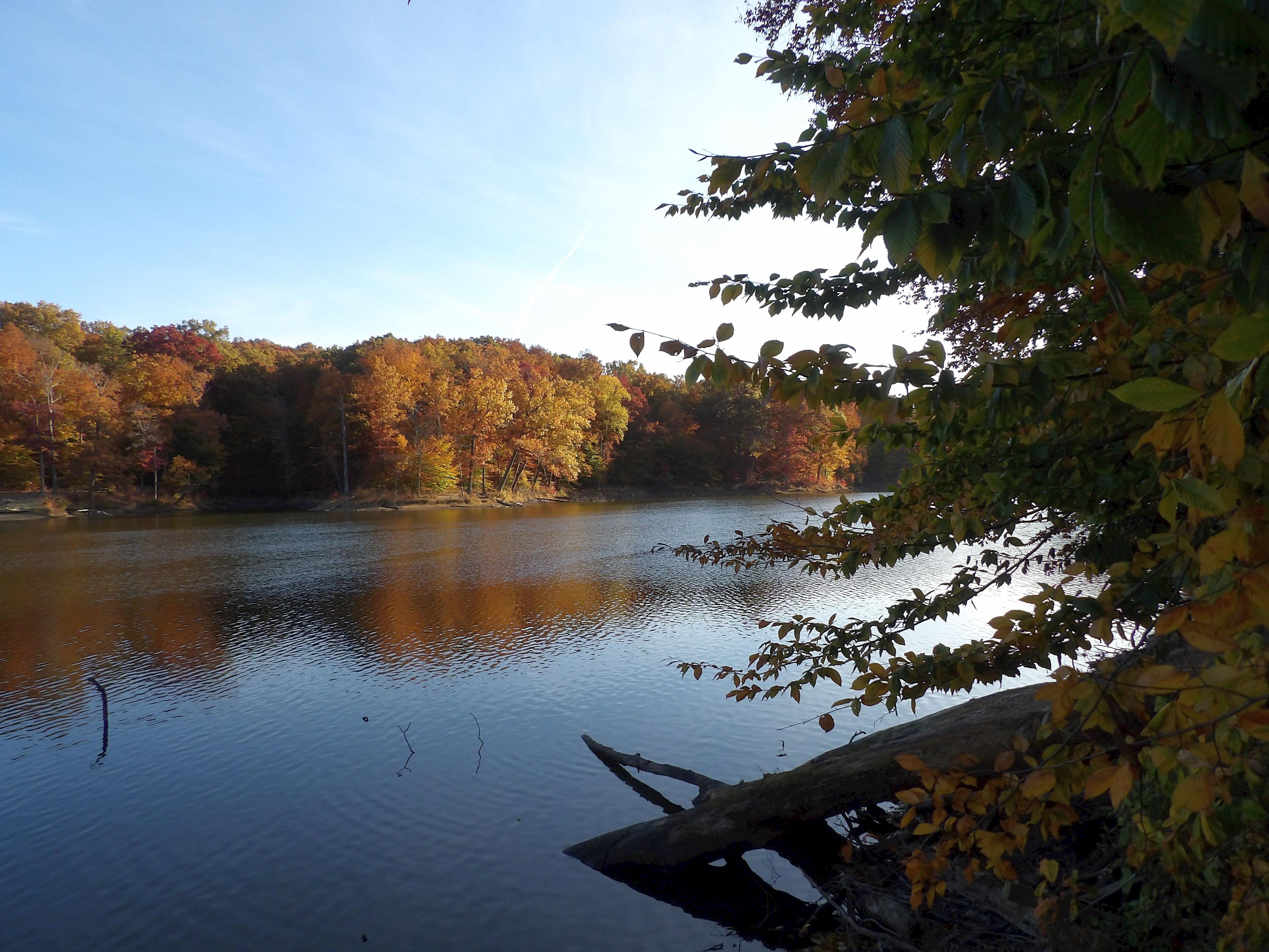 Ogle Lake Trail 7