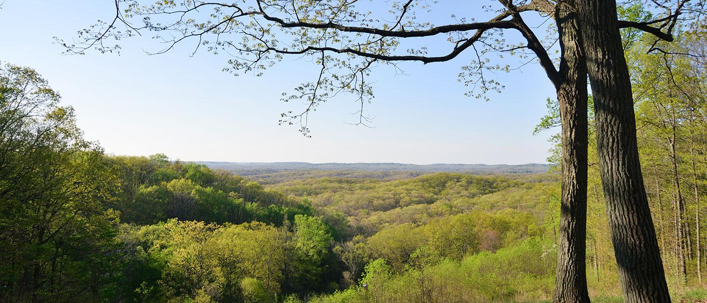 Brown County State Park: Trail 8