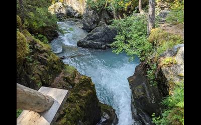 Winner Creek Trail