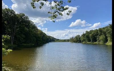 Ogle Lake Trail 7