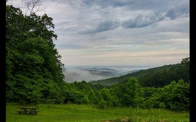 Brown County State Park: Trail 8