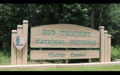 Big Thicket Sundew Trail