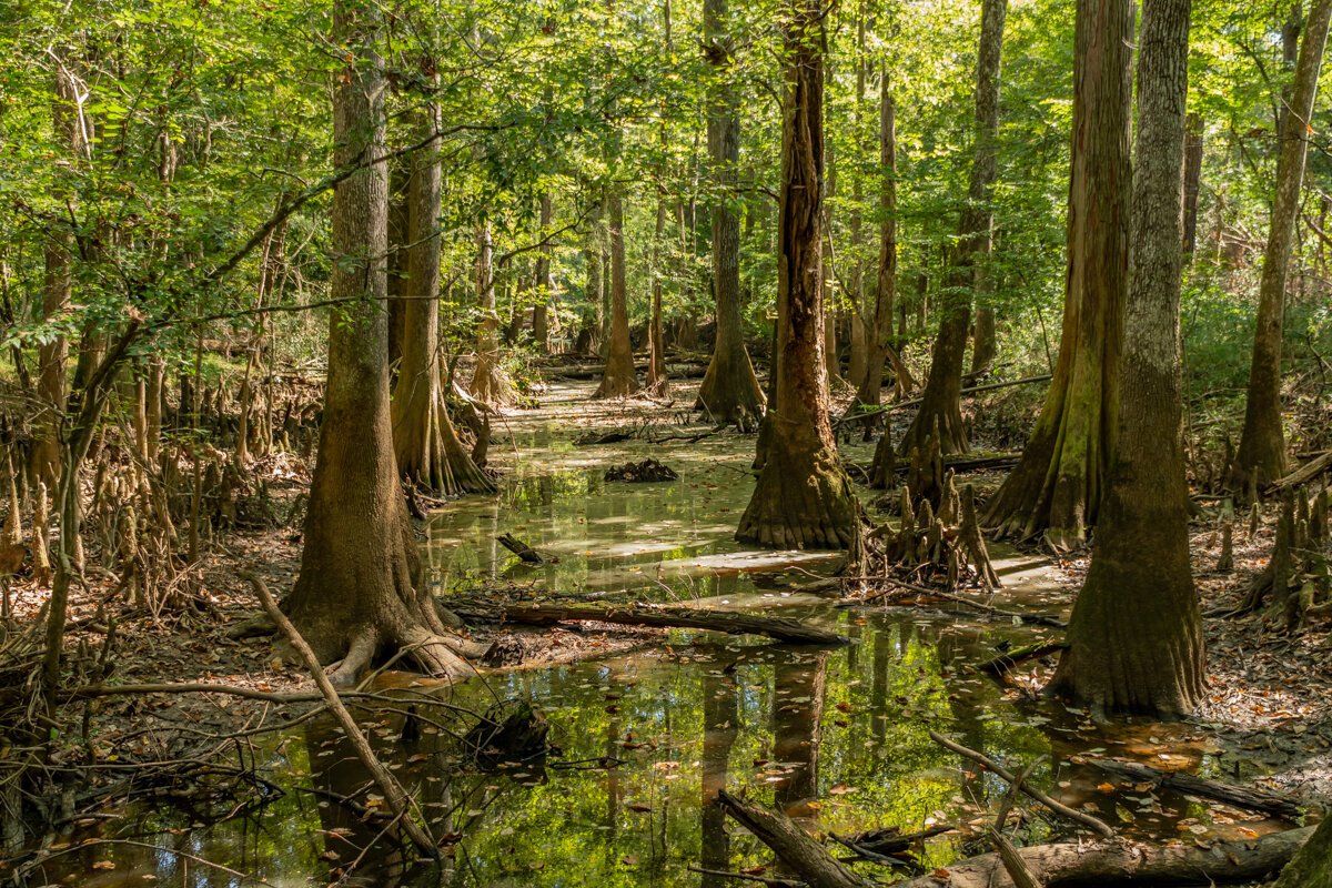 Weston Lake Loop Trail