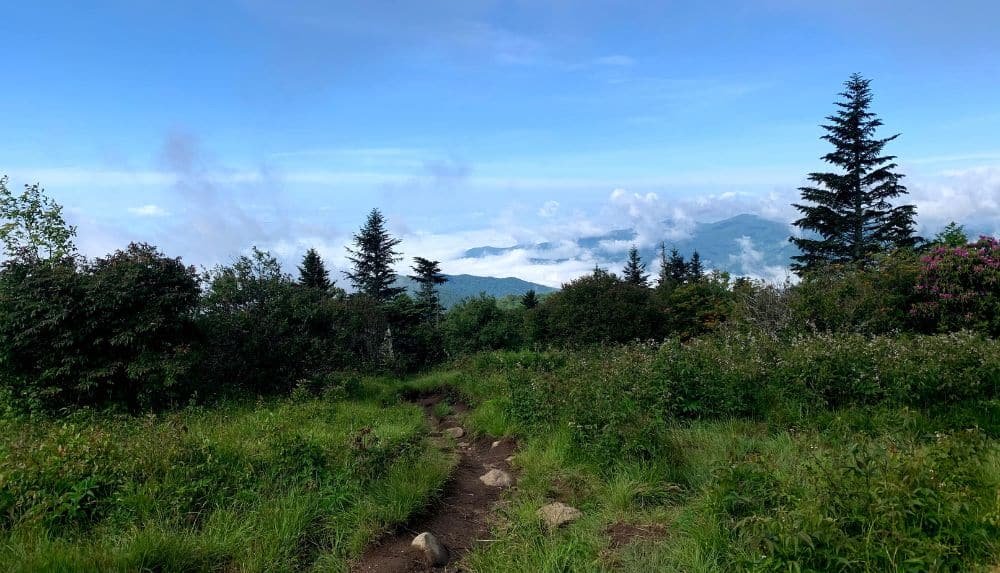 Andrews Bald Trail