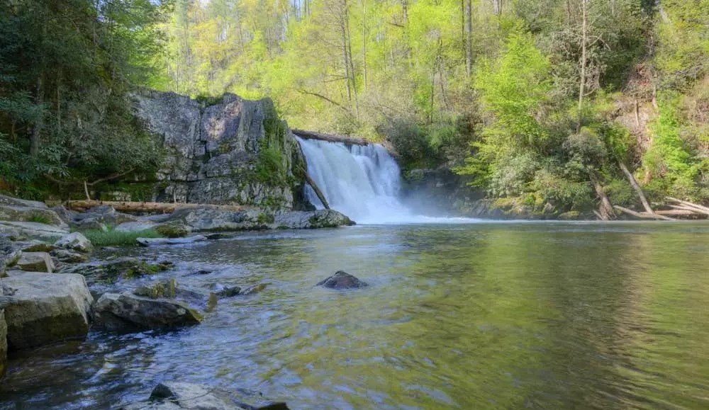 Abrams Falls Trail