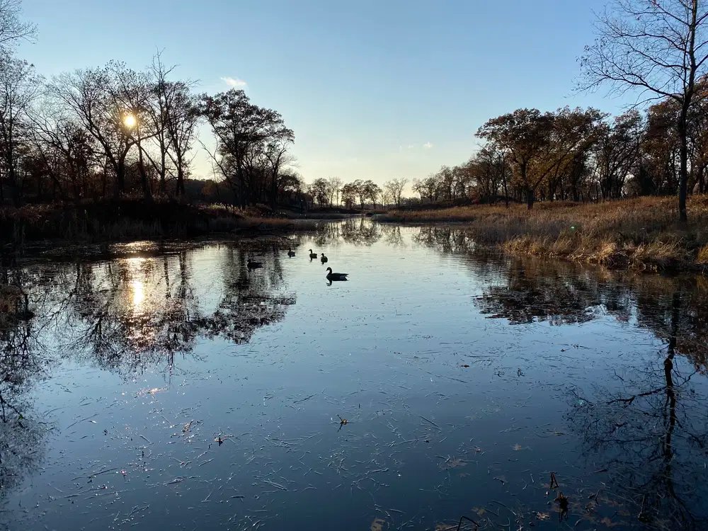 Paul H. Douglas (Miller Woods) Trail