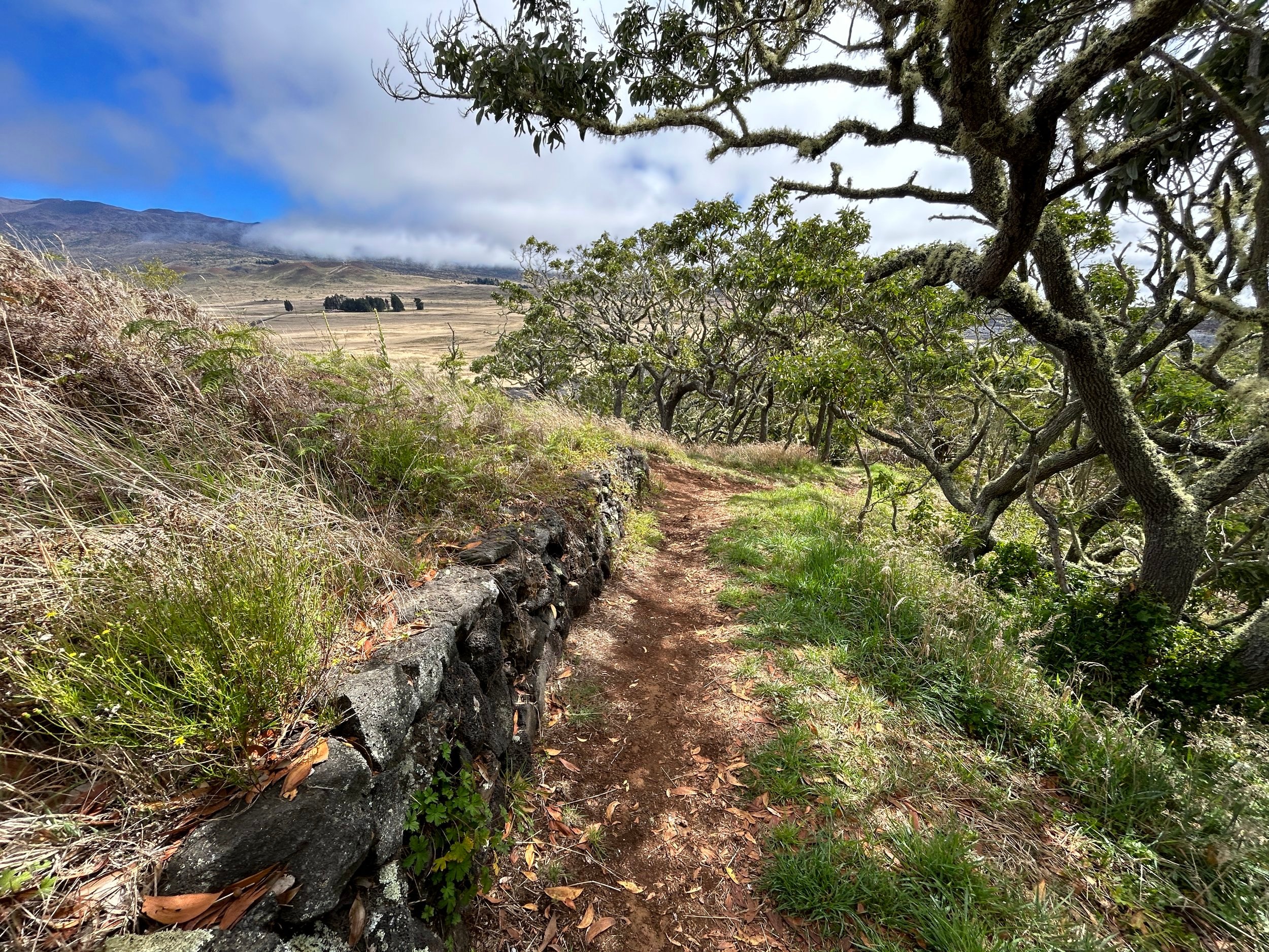  Puʻu Huluhulu Trail