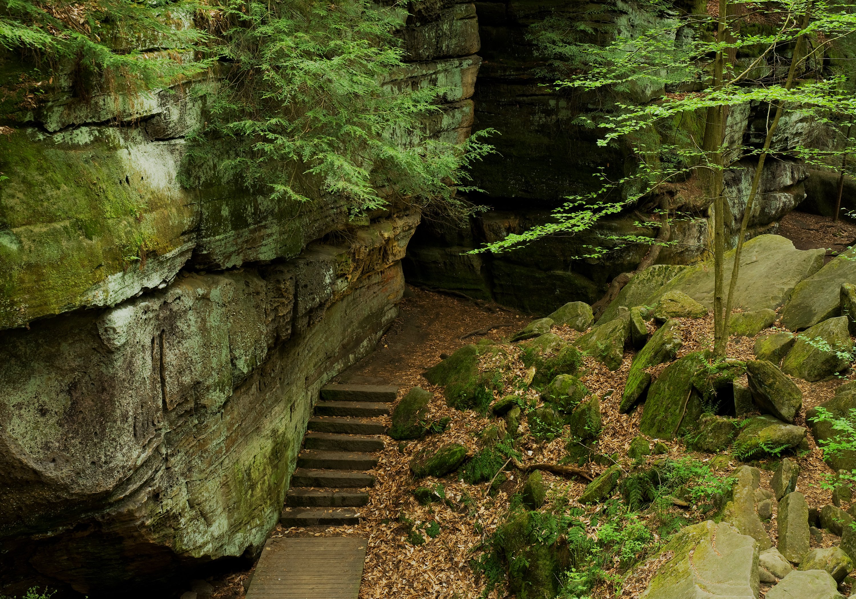 Ledges Trail