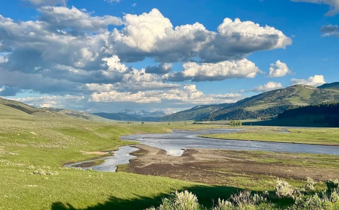 Lamar Valley Trail