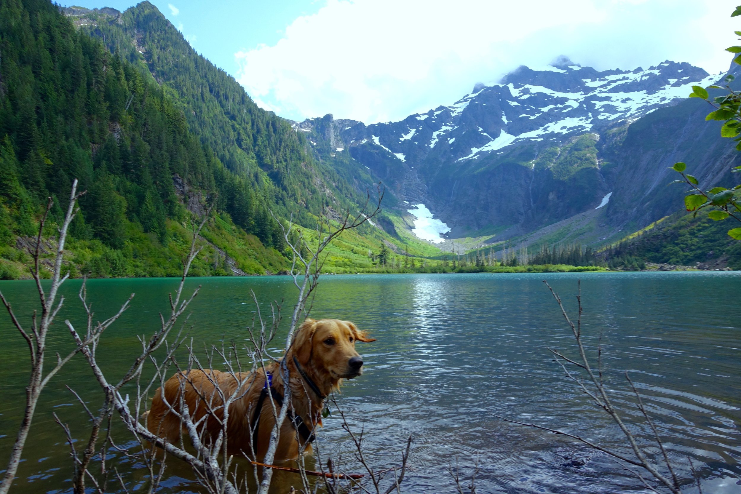 Goat Lake Trail