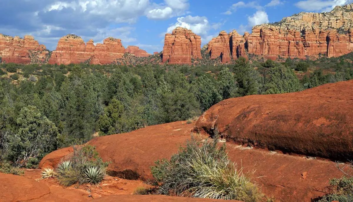 Broken Arrow, Chicken Point and Submarine Rock Loop