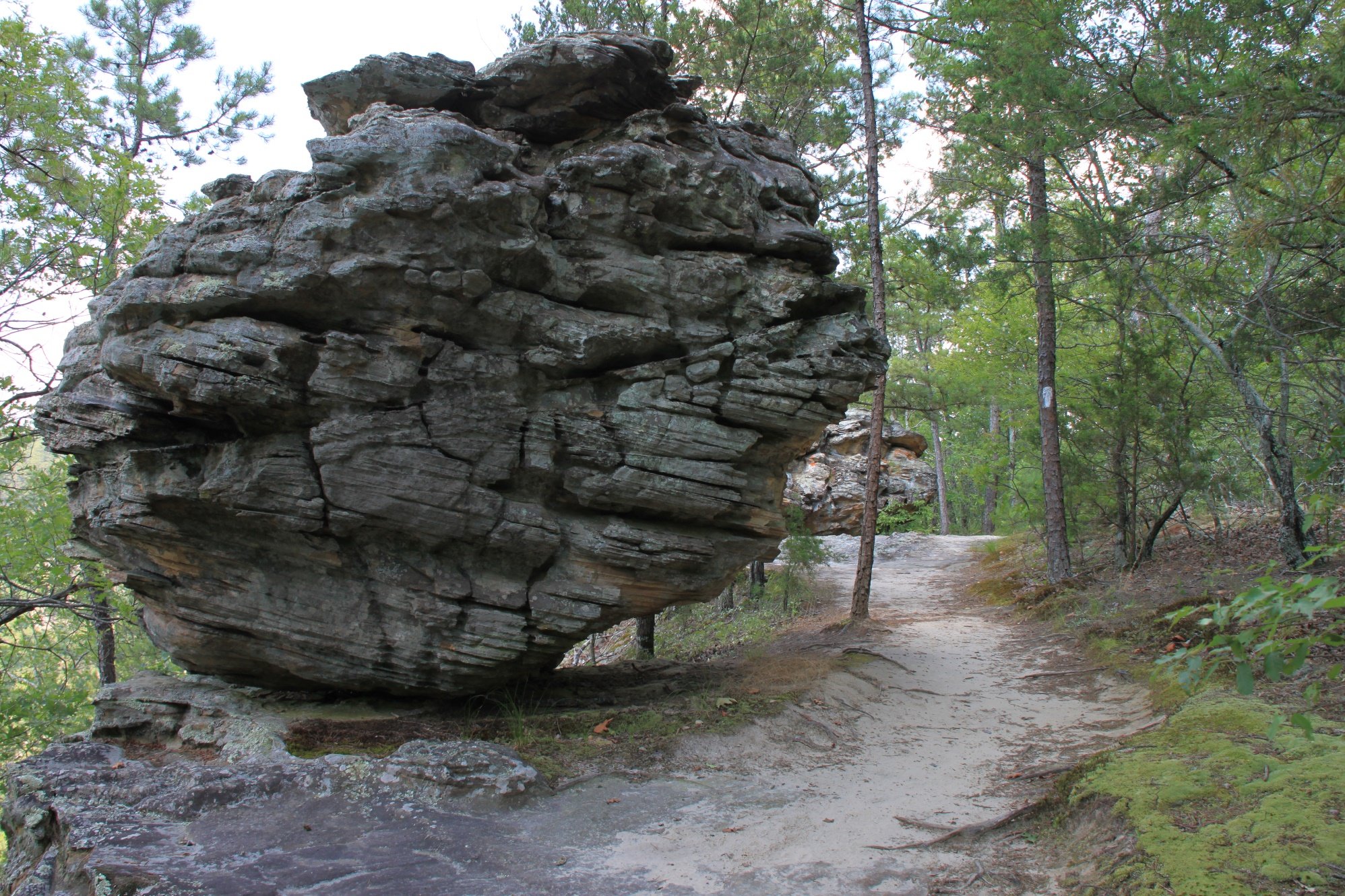 Bear Cave Trail