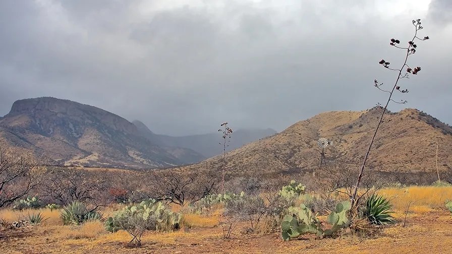 Foothills Loop Trail