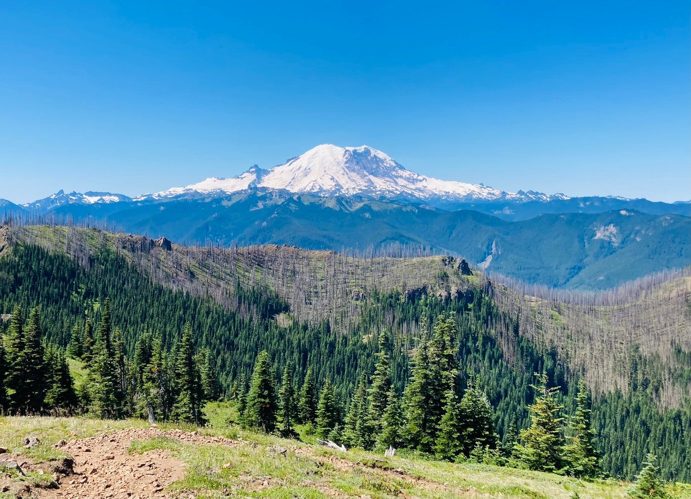 Noble Knob Trail