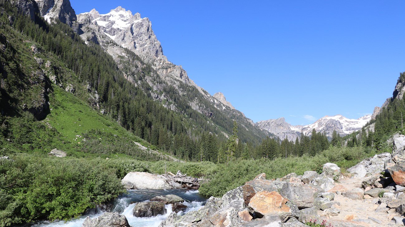 Cascade Canyon Trail