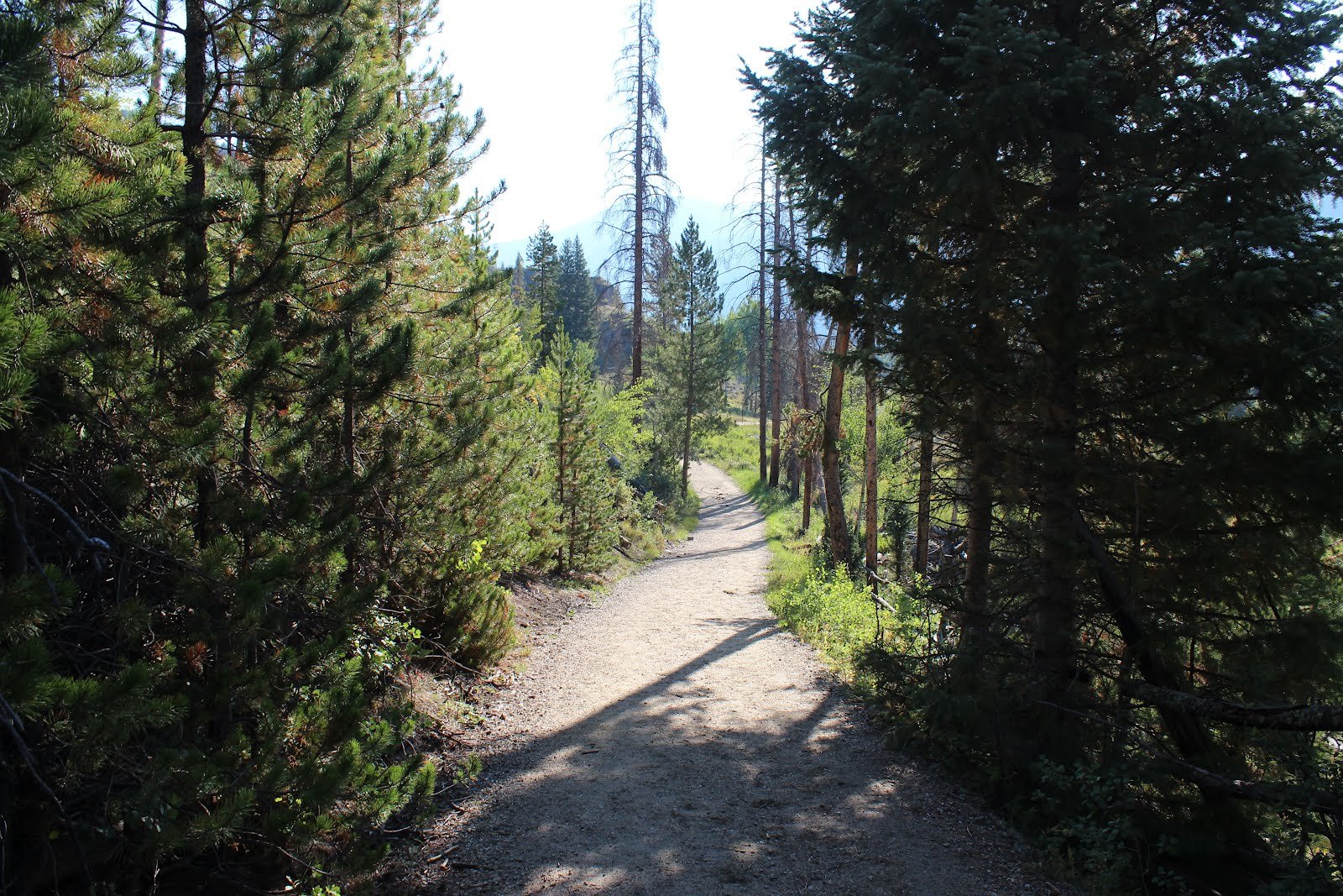 Brooks Falls Trail
