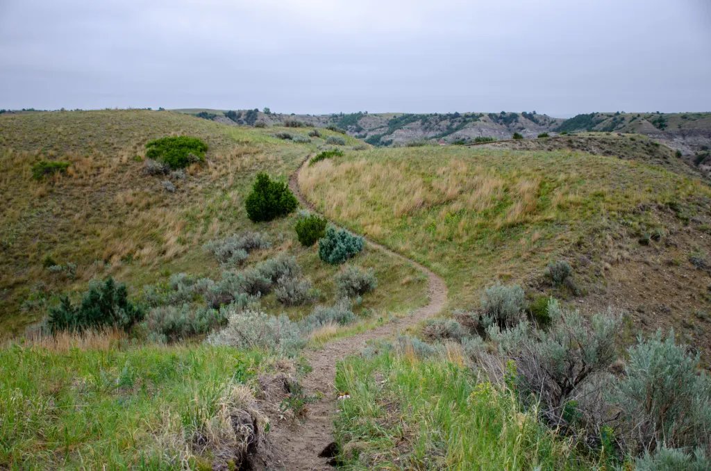 Petrified Forest Loop